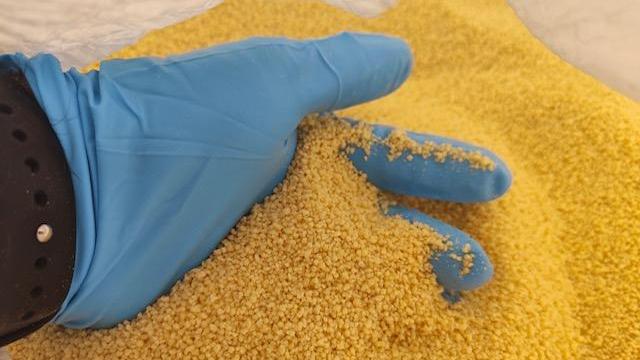 Sicurezza alimentare: i Nas sequestrano 19 tonnellate di pasta e cous cous scaduti da anni