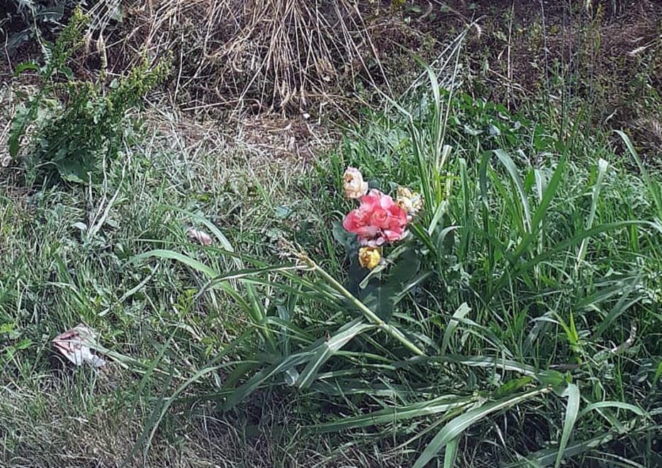 Bando e Portomaggiore piangono “Betta”: «Una donna dolce e disponibile» 