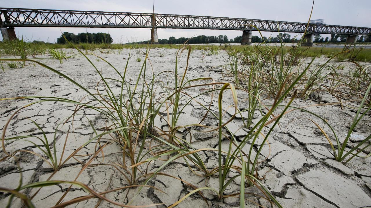 Ordinanza del Comune di Empoli per ridurre il consumo di acqua