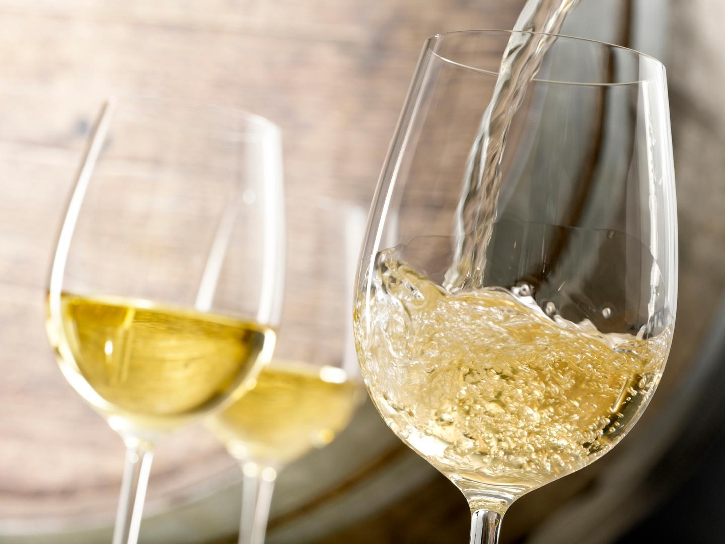 Vermentino, tutti i segreti in un libro