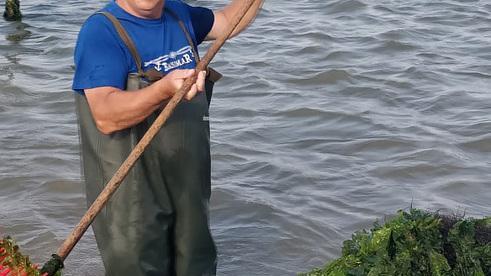 La Sacca di Goro è senza ossigeno: arrivano le alghe