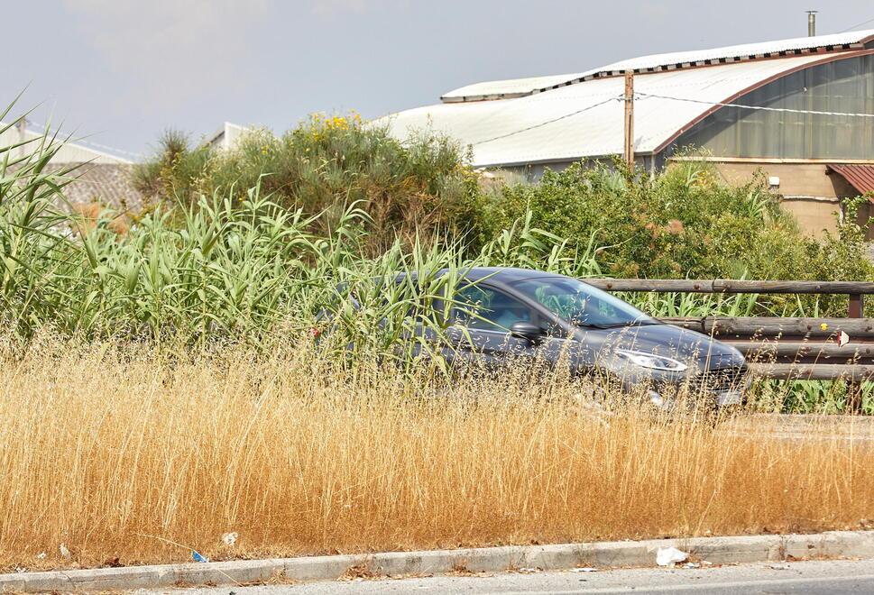 Empoli, erba alta e asfalto sconnesso alla rotatoria: «Sembra l’Amazzonia, è troppo pericoloso» 