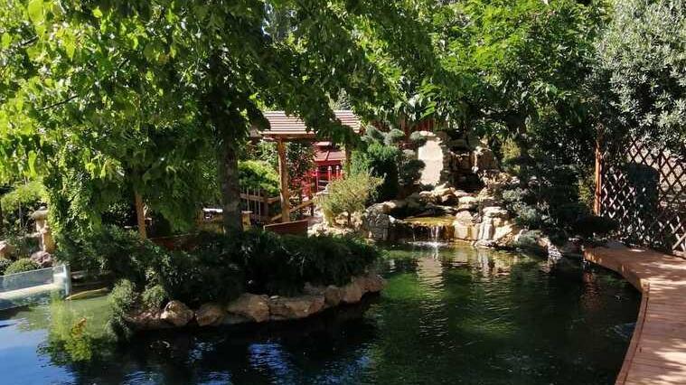 Il giardino giapponese con le carpe koi tra le colline di Volterra