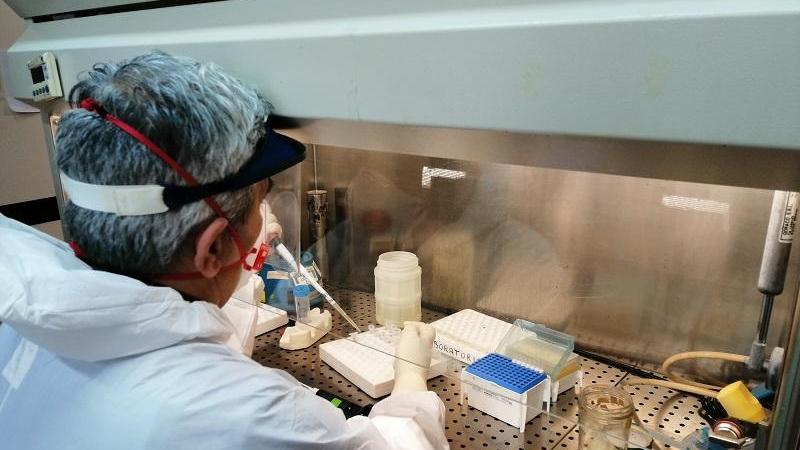 Coronavirus in Sardegna, 939 casi e una vittima