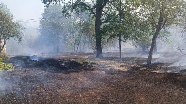 A fuoco 2 ettari di sterpaglie e bosco nell'Alessandrino
