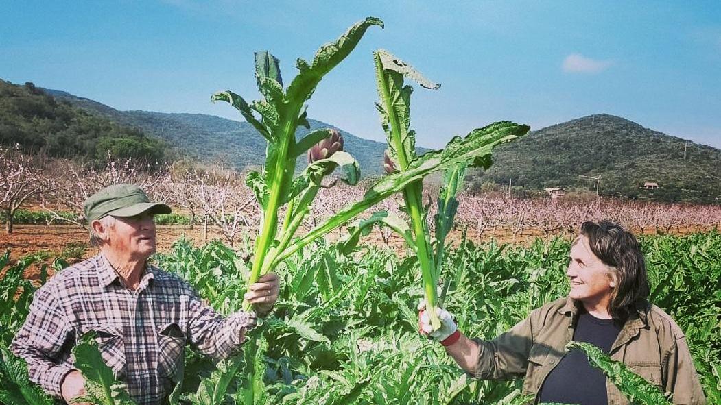 Dal Contadino: eccellenze toscane direttamente dal produttore