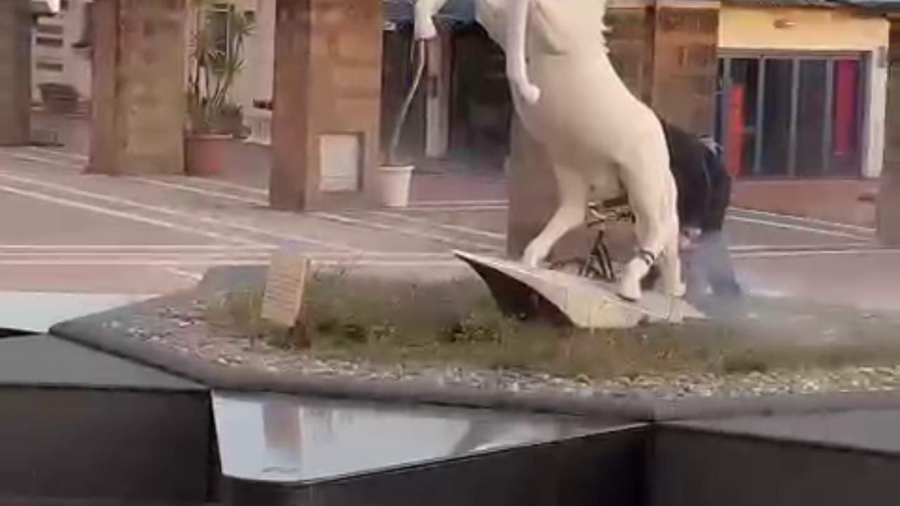 Mutila la statua del Cavallino col frullino: scatta il Daspo per il vandalo
