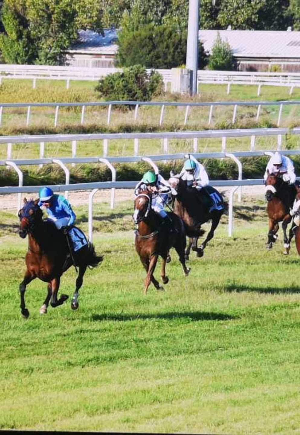 La crisi senza fine dell’universo del cavallo 