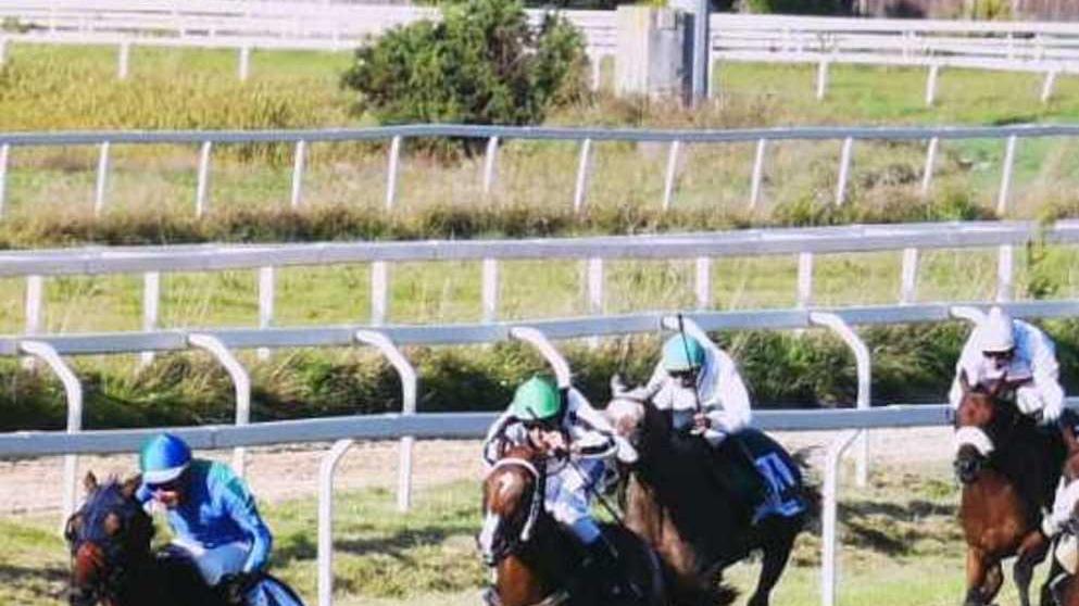 La crisi senza fine dell’universo del cavallo