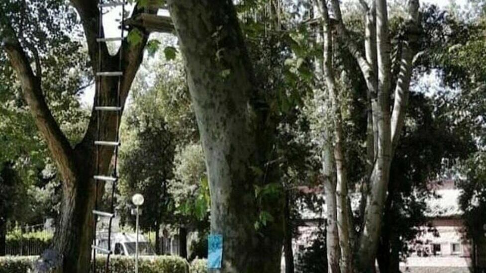 Il parco della Comasca dove si svolgeva Comasca in Campus