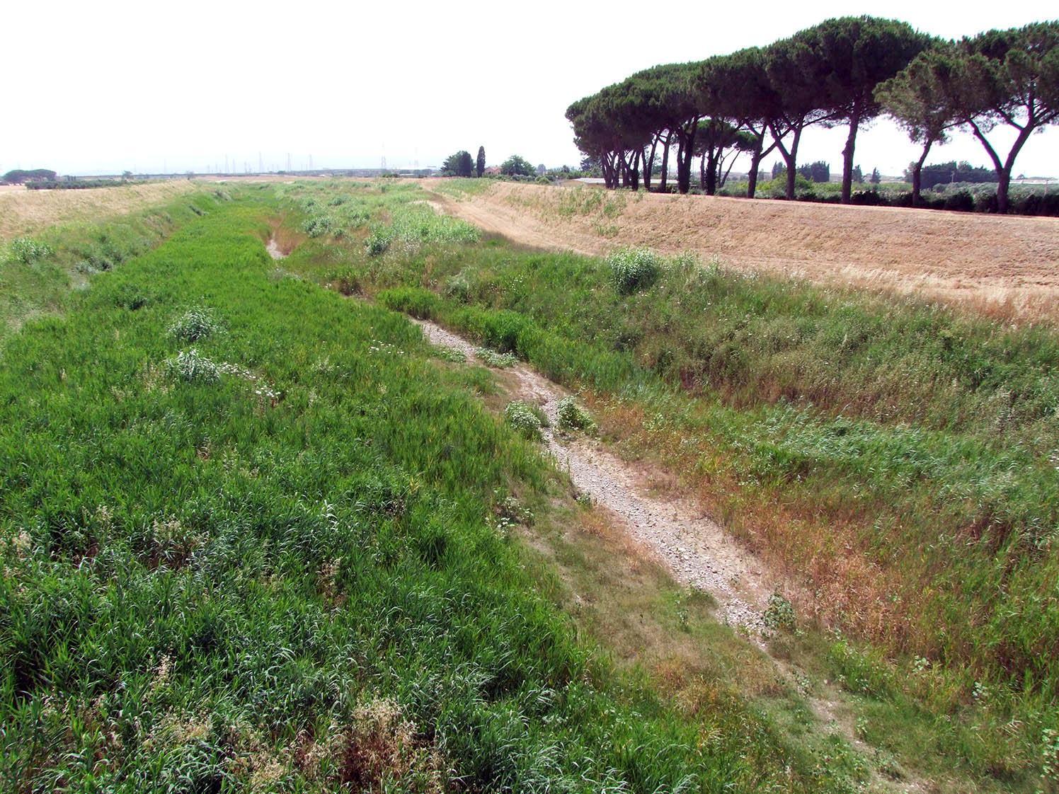 Il fiume Cornia, nella zona di Piombino, completamente a secco (Foto di Paolo Barlettani)