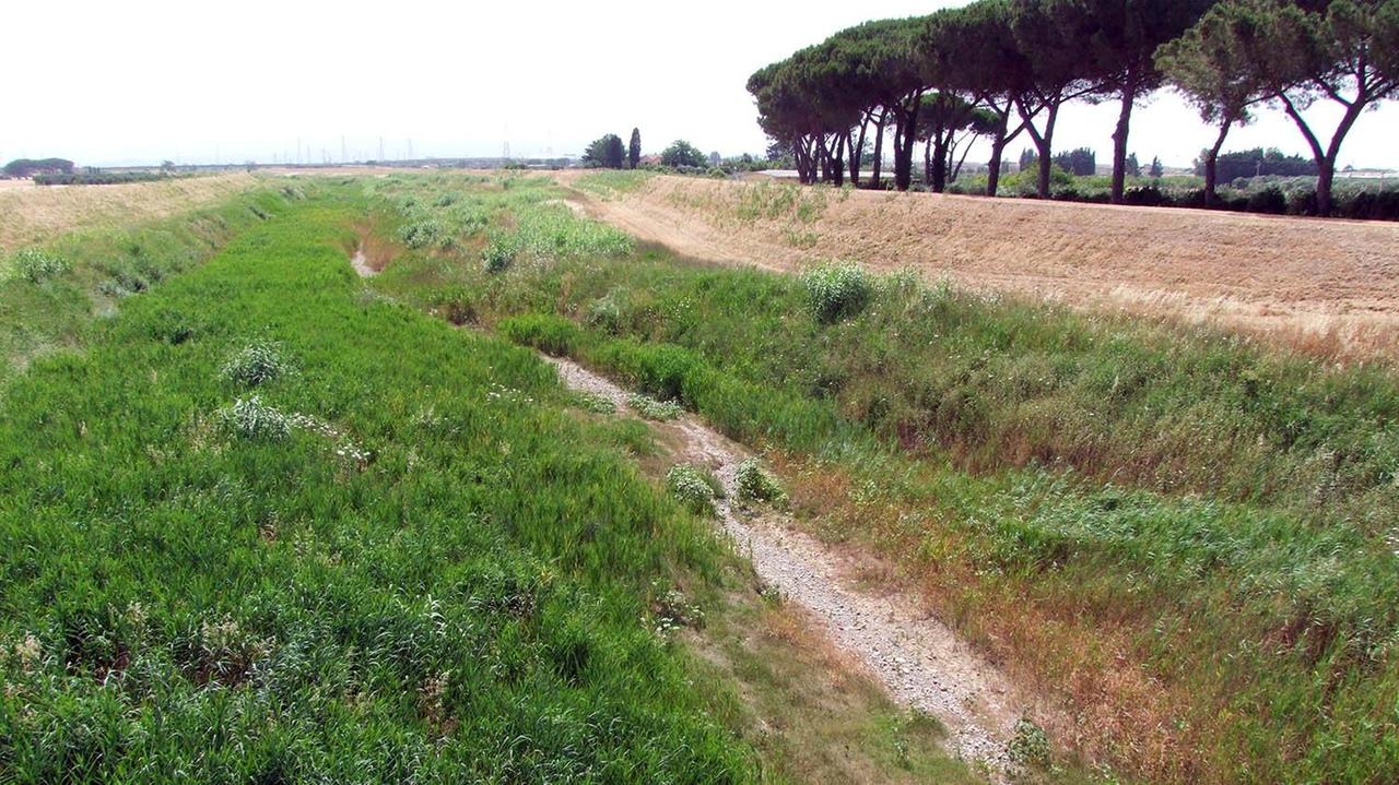 Il fiume Cornia, nella zona di Piombino, completamente a secco (Foto di Paolo Barlettani)