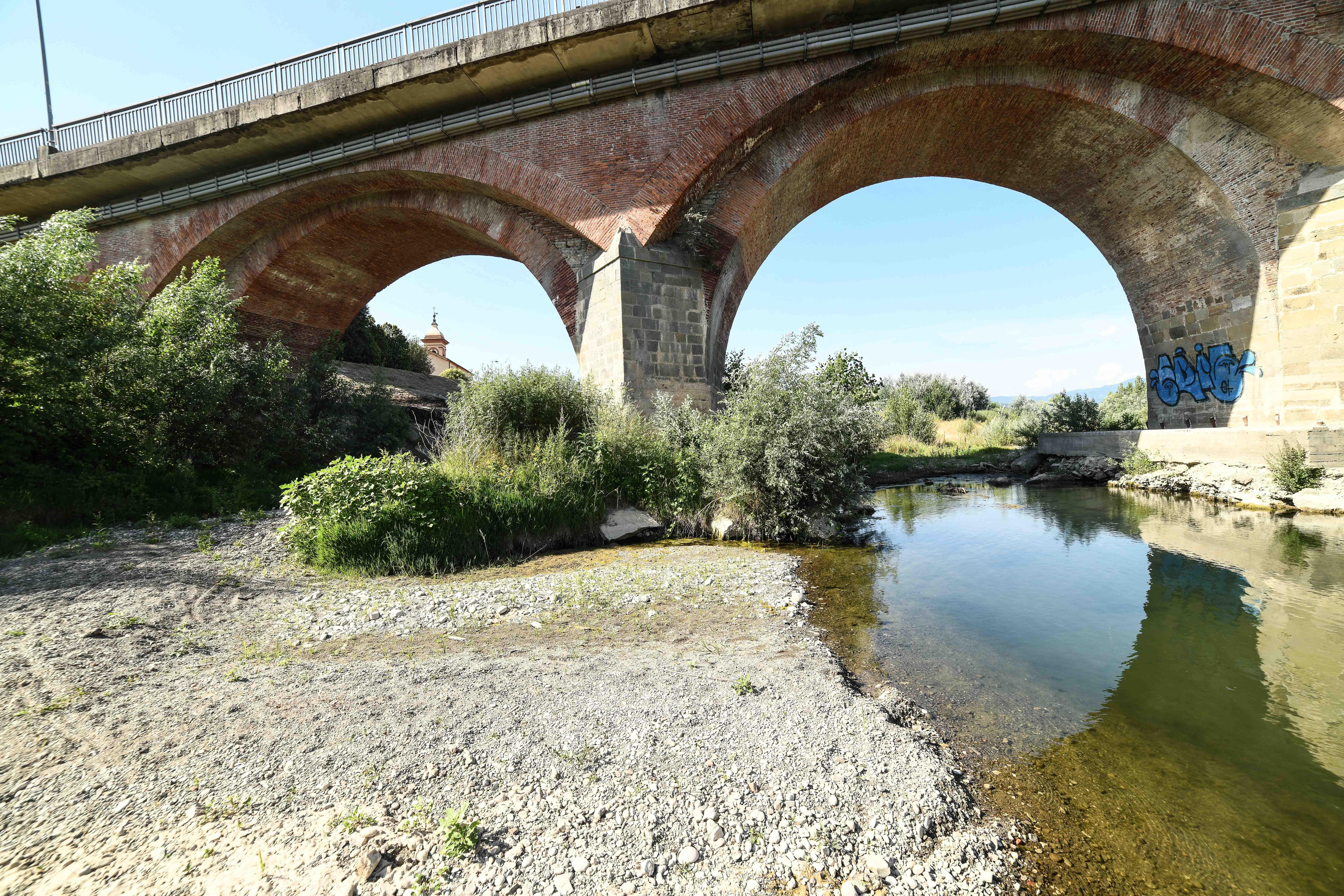 Siccità, nei campi della Lucchesia situazione disastrosa: a rischio anche la produzione dai vigneti e negli oliveti 