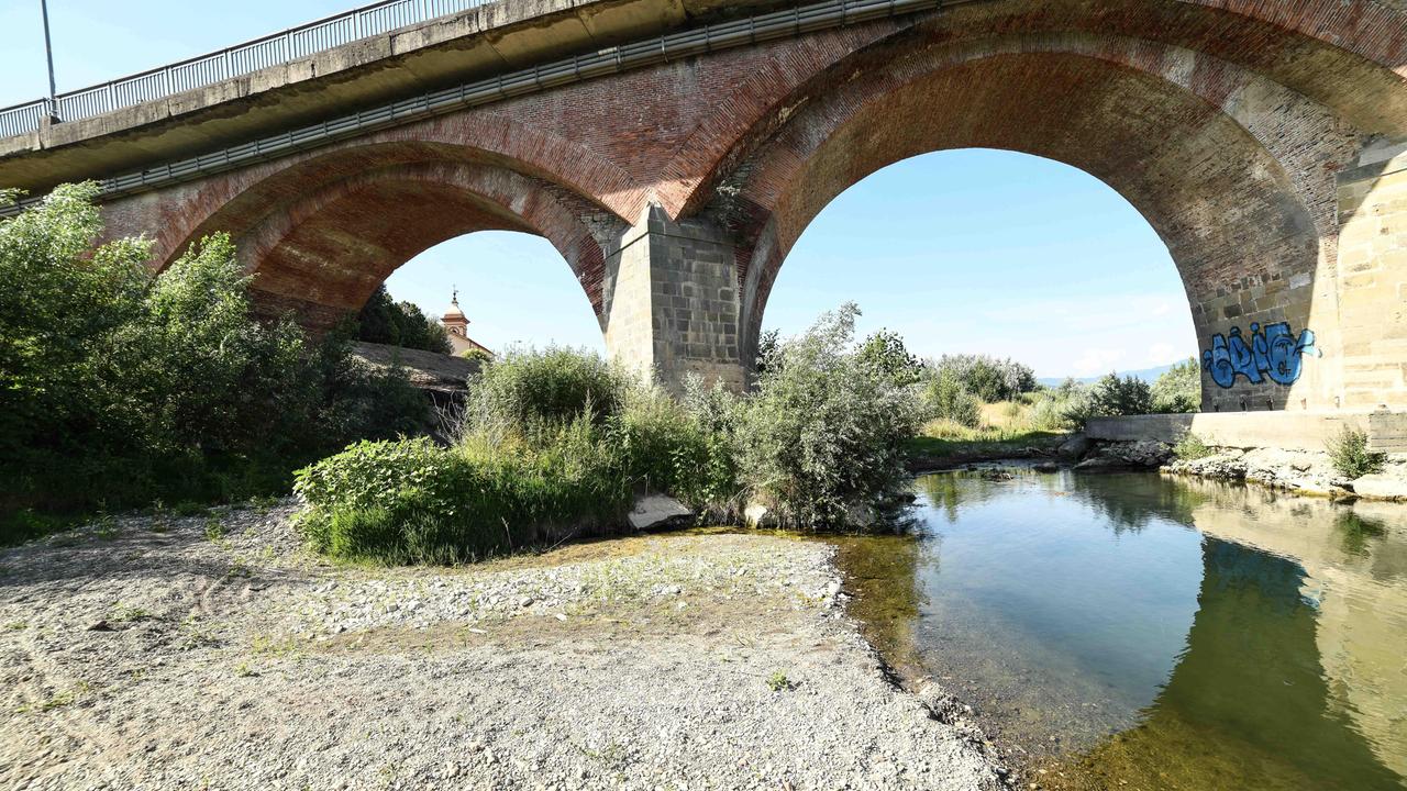 Siccità, nei campi della Lucchesia situazione disastrosa: a rischio anche la produzione dai vigneti e negli oliveti