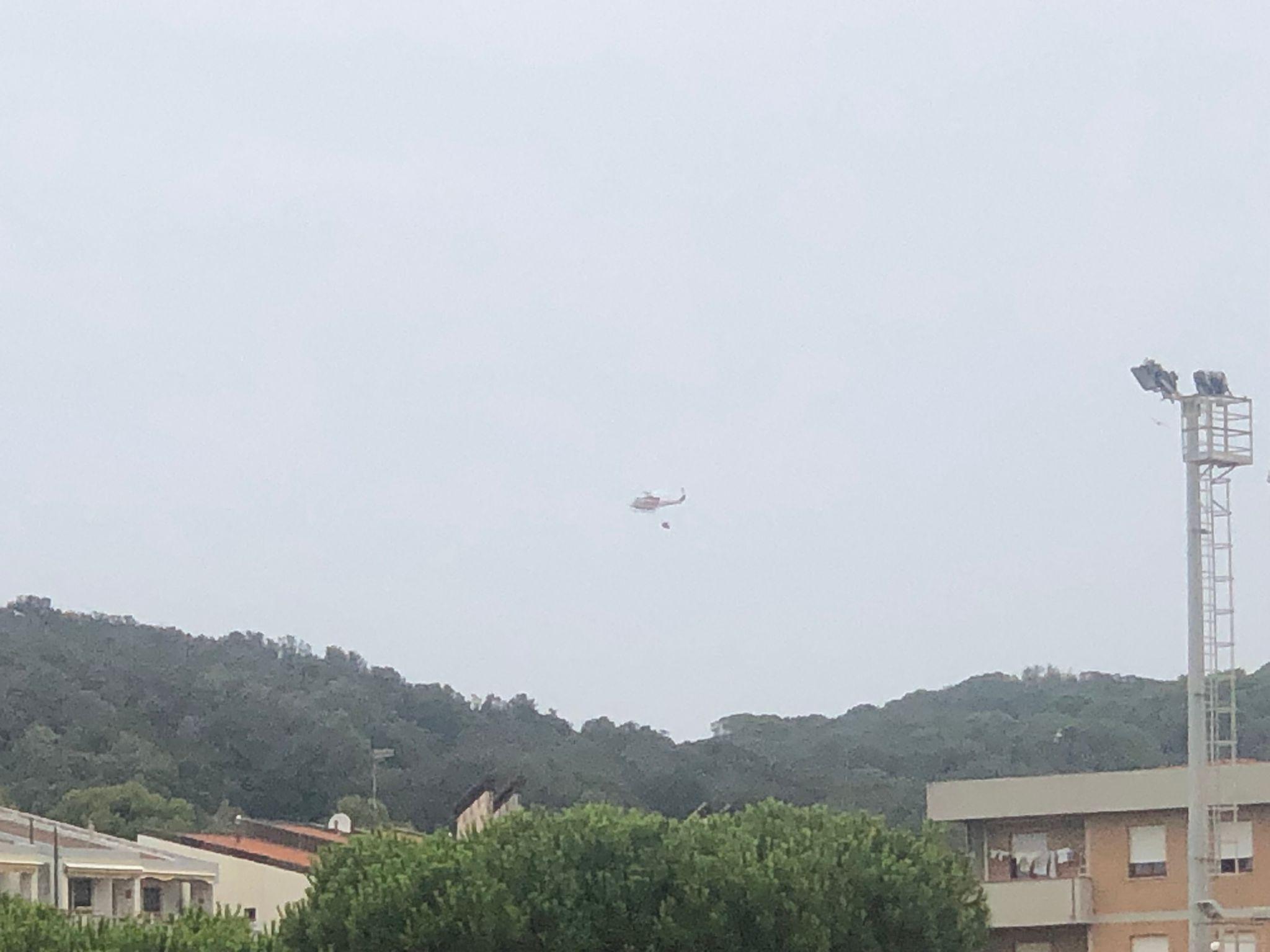Brucia il bosco a Piombino 