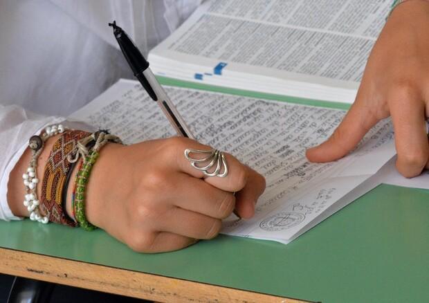 Ma non siamo un’isola di somari, il commento