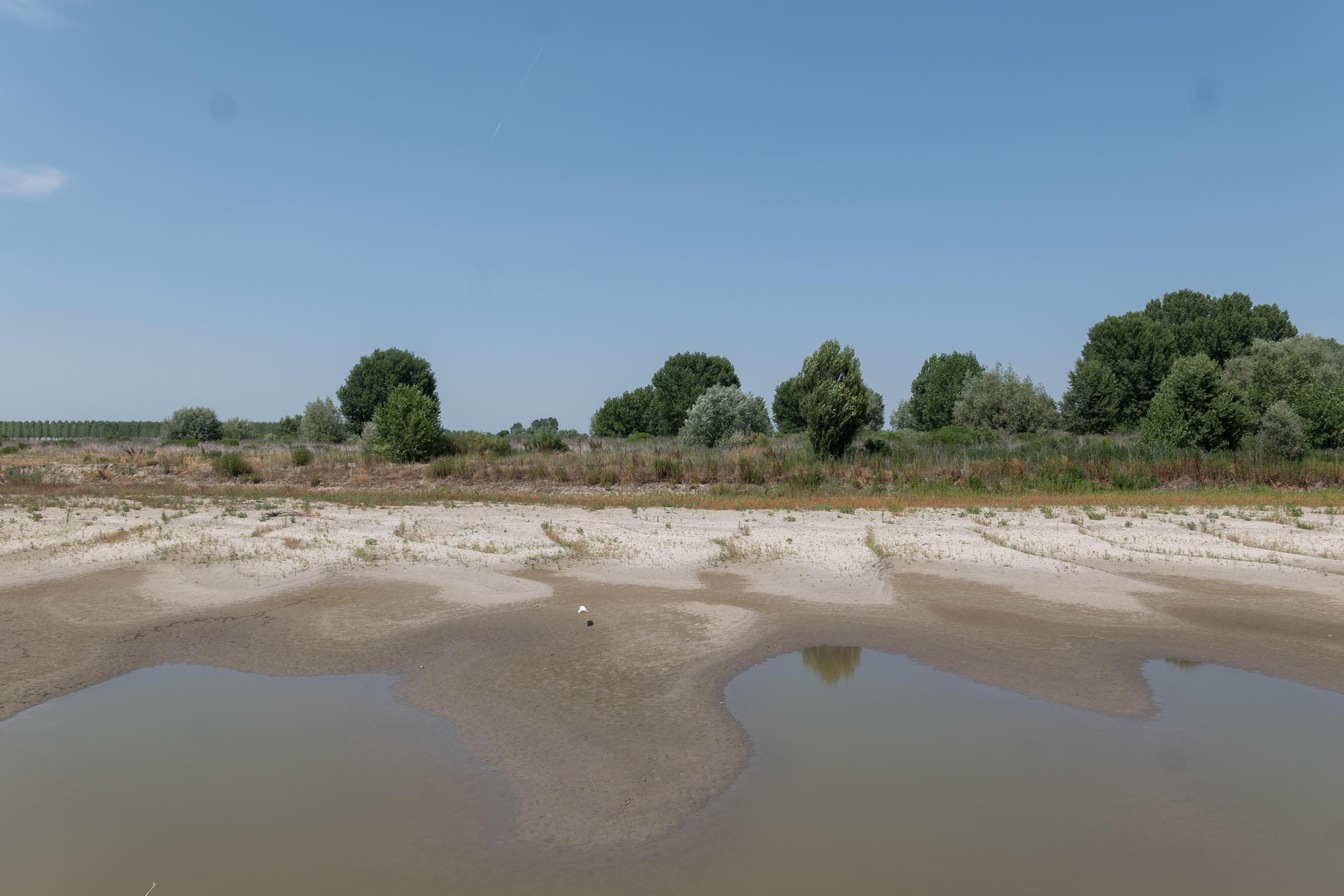 Siccità, stato di emergenza in Toscana. Giani: "Possibile in futuro". I geologi: "Non siamo stati ascoltati" 