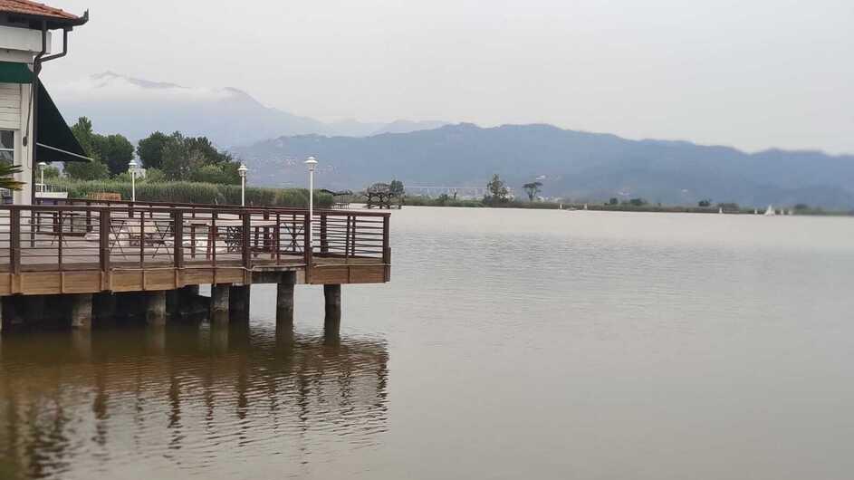 Il lago di Massaciuccoli è ormai a un passo dall’allarme rosso: ecco i rischi