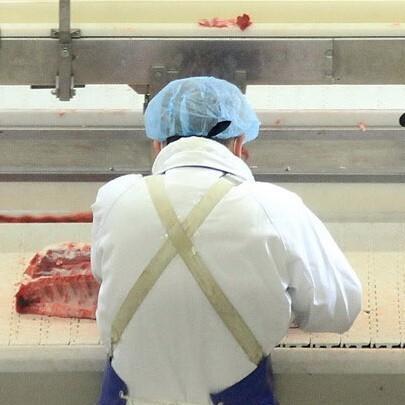 Castelvetro  Malattie professionali, il perito “assolve” 