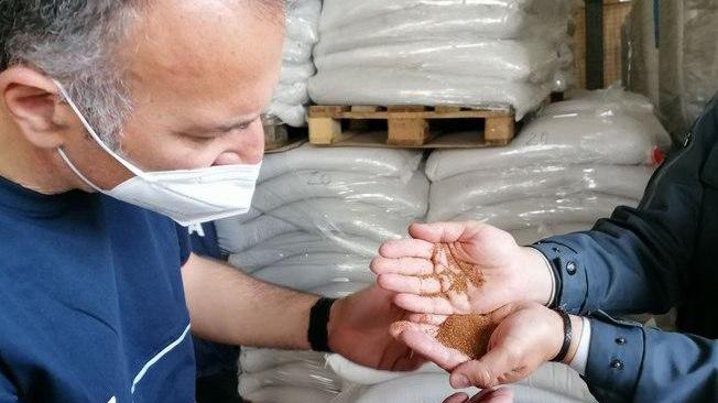 Sequestrate 22 tonnellate grano 'tossico' a porto Livorno