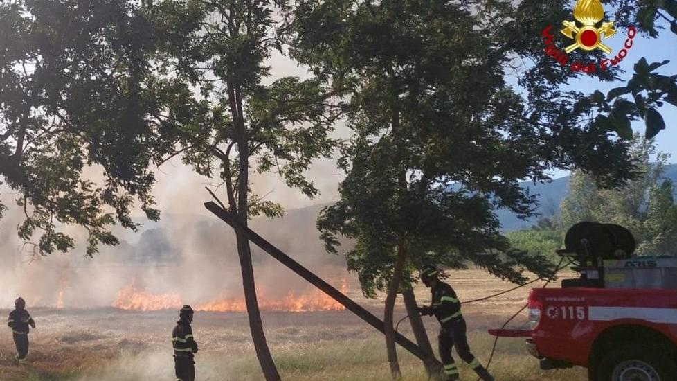 In tre mesi incendi raddoppiati e scatta l’allarme per i boschi
