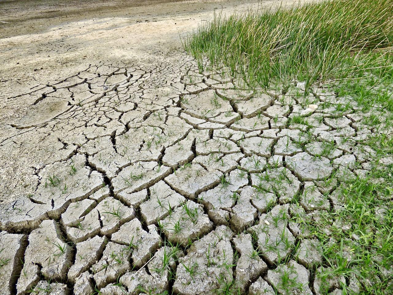 In 50 anni a Grosseto quattro gradi in più e metà della normale pioggia 