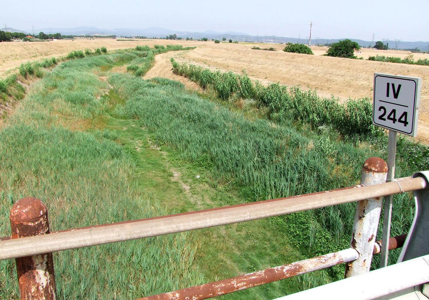 un'immagine del Cornia ormai senz’acqua