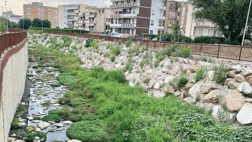 «Il rio Maggiore è tornato una fogna». Allo stadio cattivi odori e rabbia