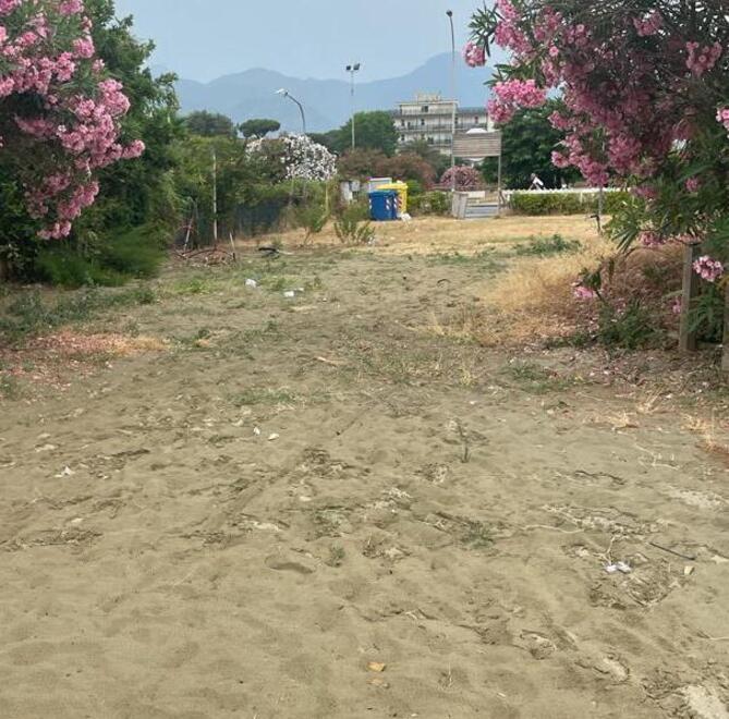 Zero bagnini, rifiuti e nessuna toilette: sulla spiaggia libera di Marina di Pietrasanta è allarme servizi 