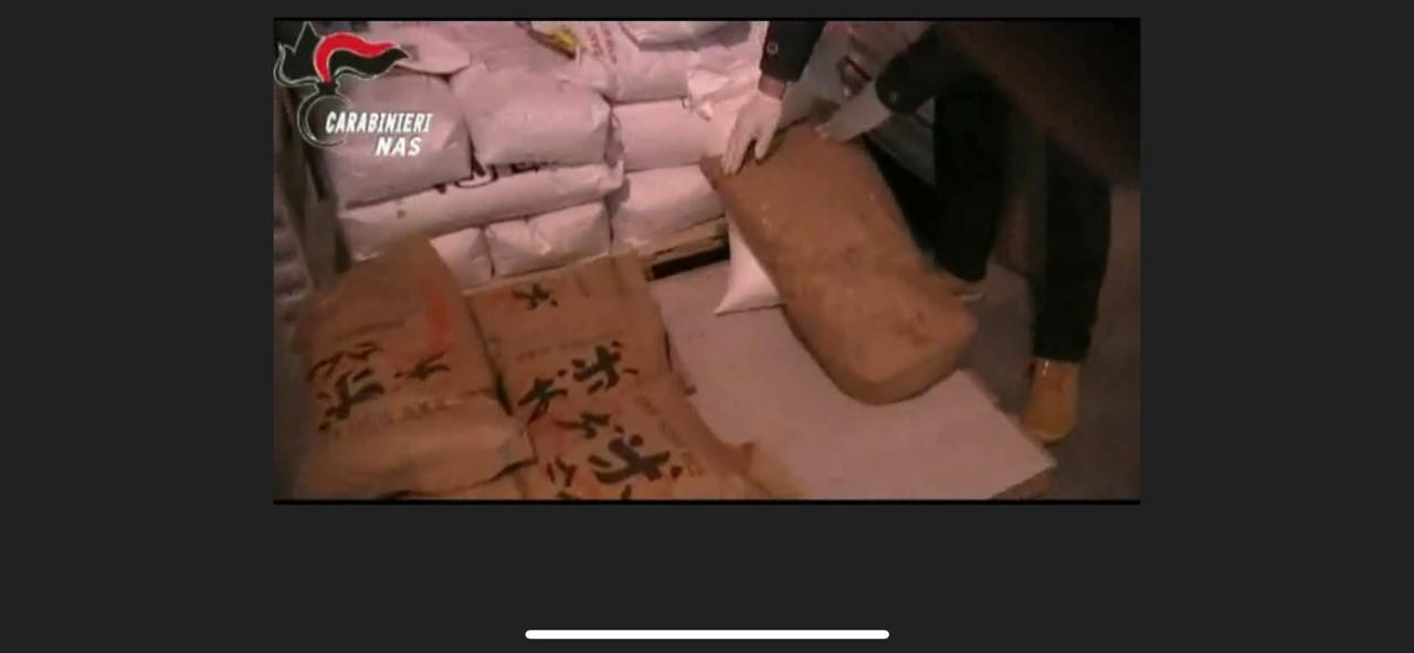 Topi in mezzo al cibo nella Bassa reggiana