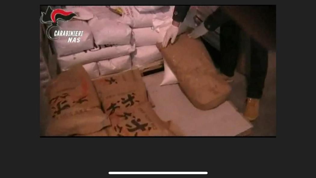 Topi in mezzo al cibo nella Bassa reggiana