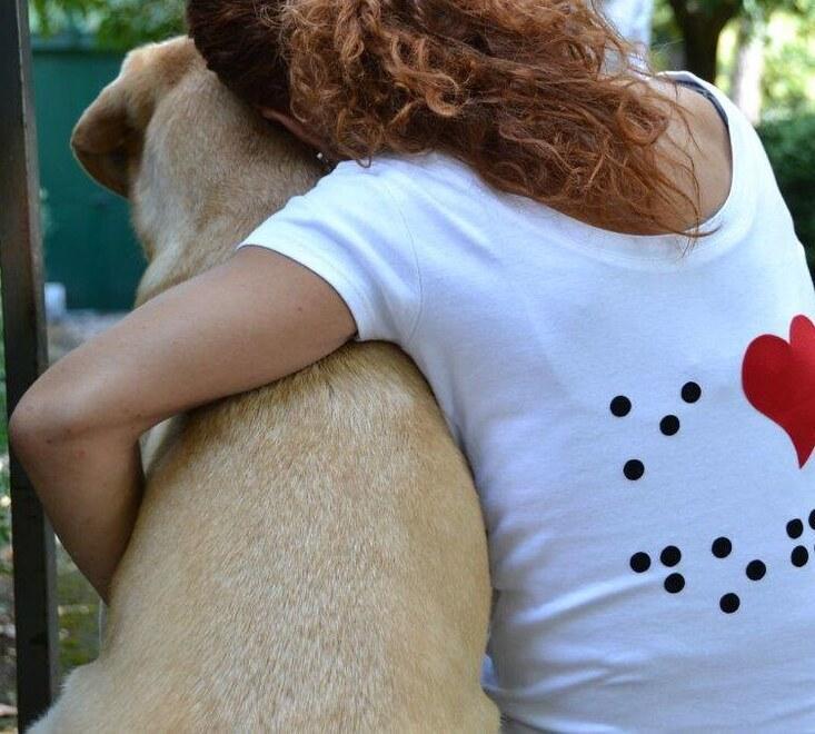 Soldi per i cani guida. L’Unione ciechi smaschera la truffa 