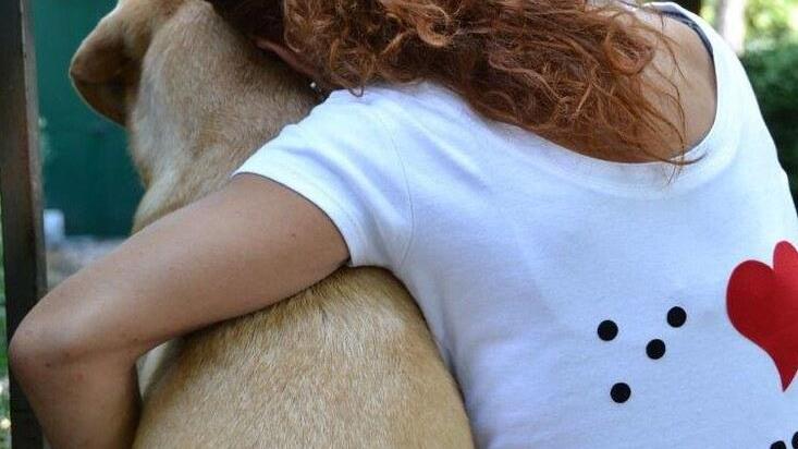 Soldi per i cani guida. L’Unione ciechi smaschera la truffa