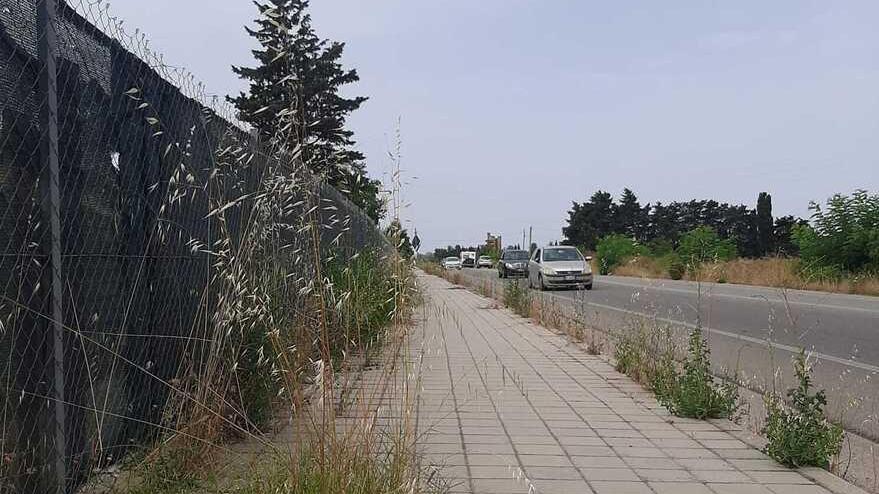 Oristano: strade e svincoli ostaggi delle erbacce, statali e provinciali un rischio per le auto 