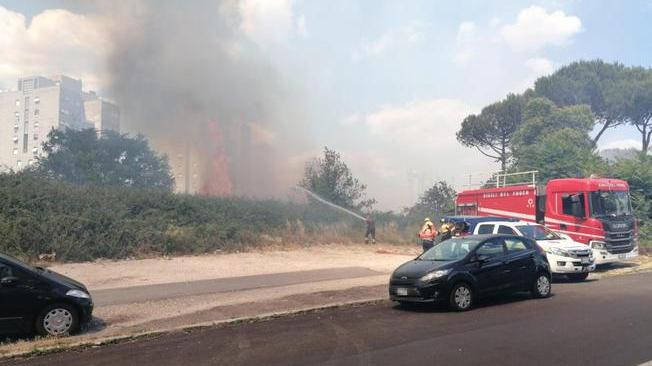 Incendi: Prot.Civile, oggi 16 richieste d'intervento aereo