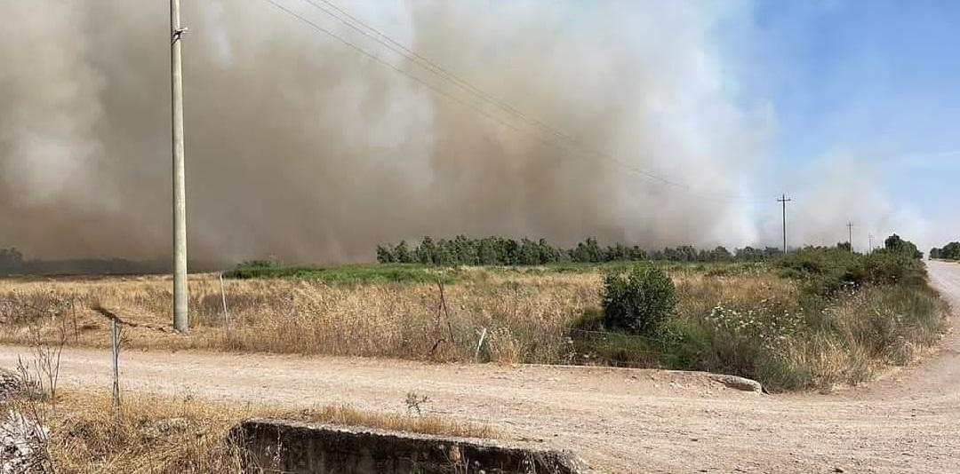 Il rogo nelle campagne di Marrubiu è scoppiato nel primo pomeriggio