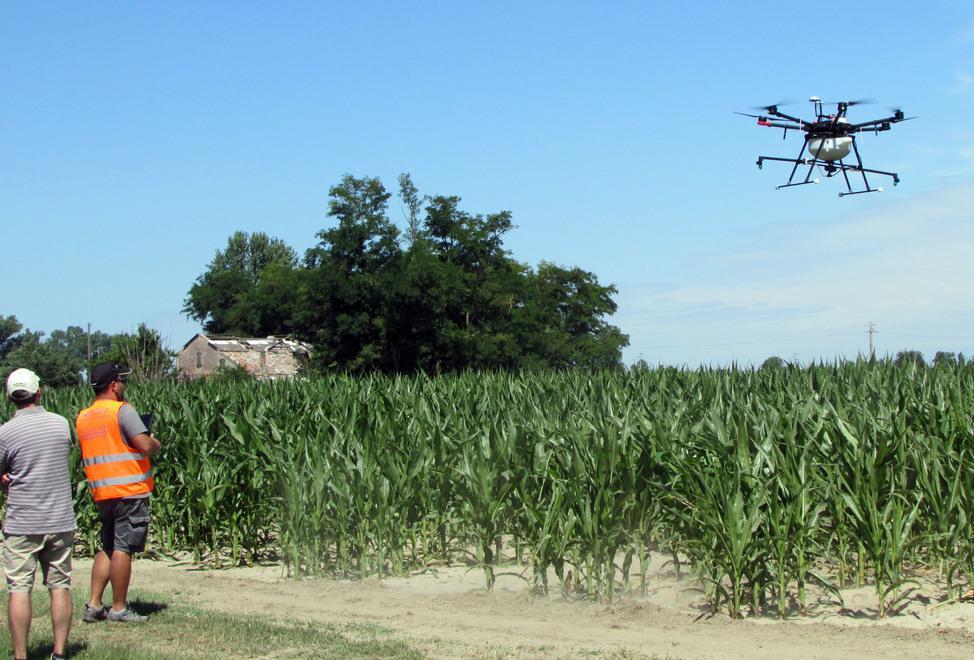 Sui Lidi zanzare da incubo: «Il possibile non è abbastanza» 