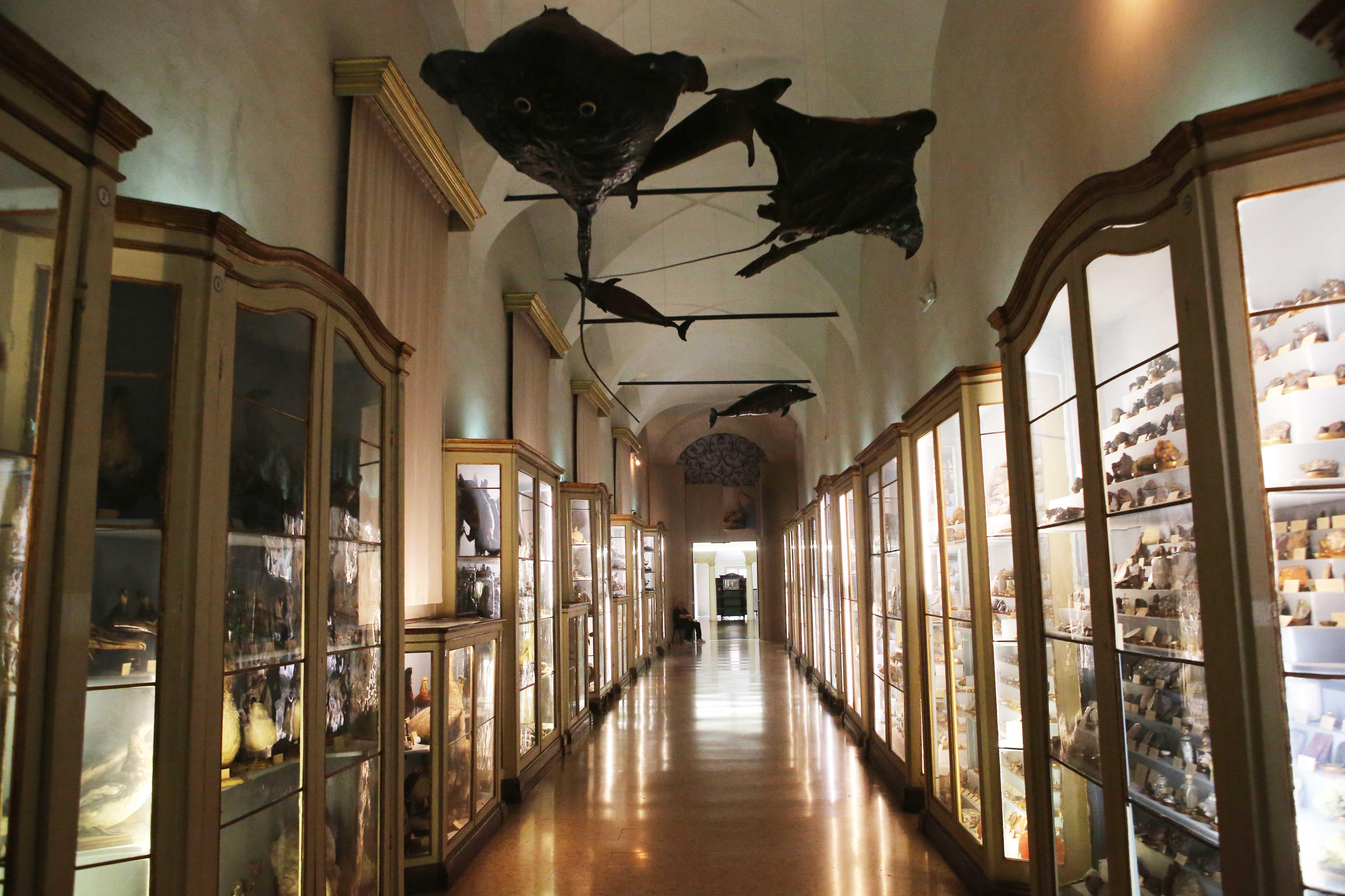 Reggio Emilia, ai Chiostri di San Pietro  “Io sono Museo” con Rota