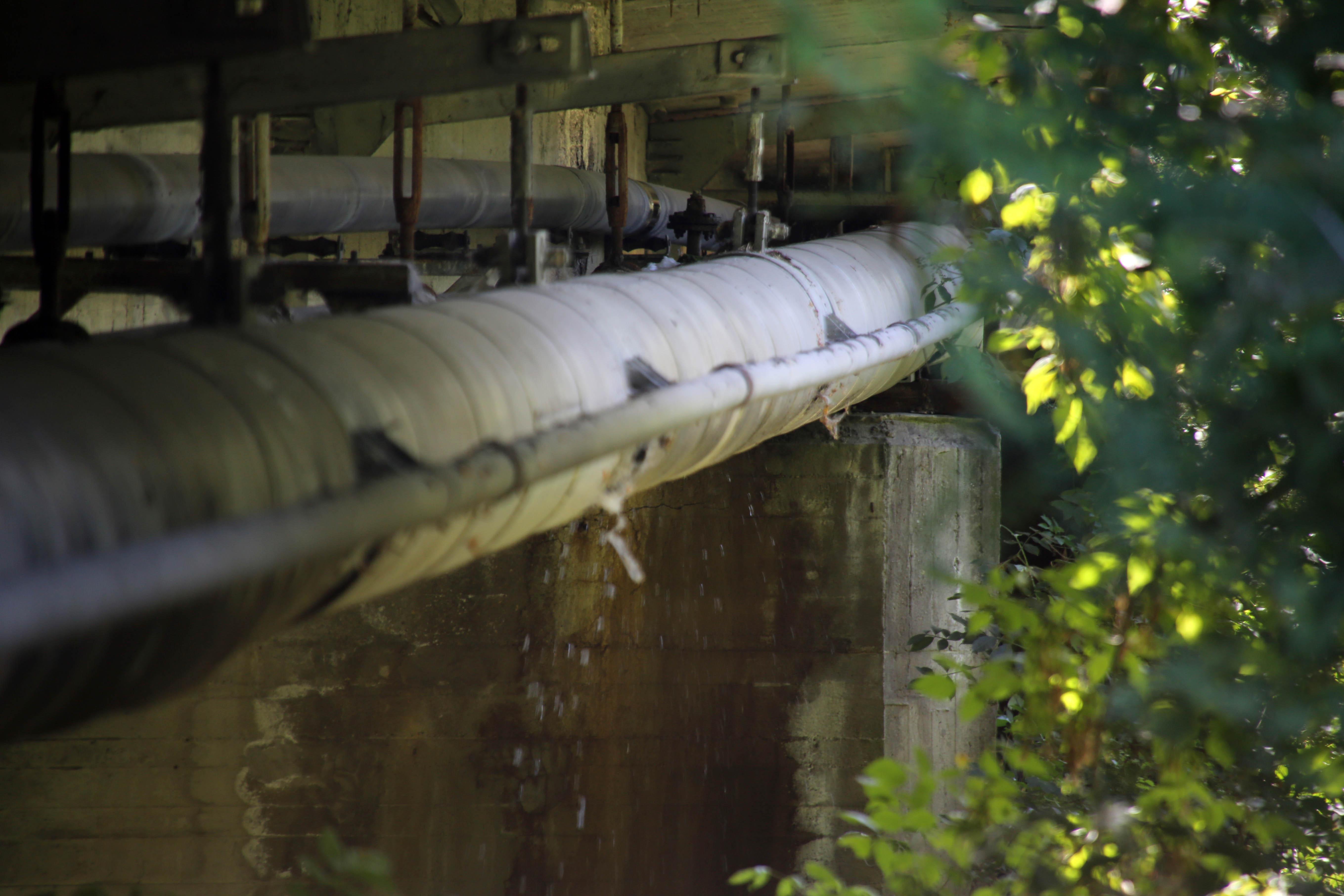 Il caso a Reggio Emilia: «C’è una perdita d’acqua sotto il ponte del Crostolo»    