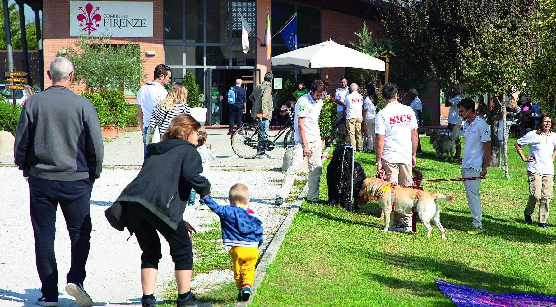 Presero i cani per il lockdown: in migliaia vogliono disfarsene. Firenze, l'allarme dei veterinari