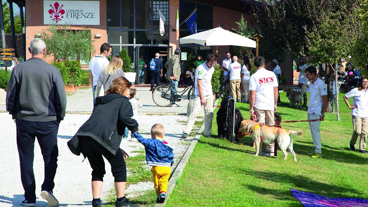 Presero i cani per il lockdown: in migliaia vogliono disfarsene. Firenze, l'allarme dei veterinari