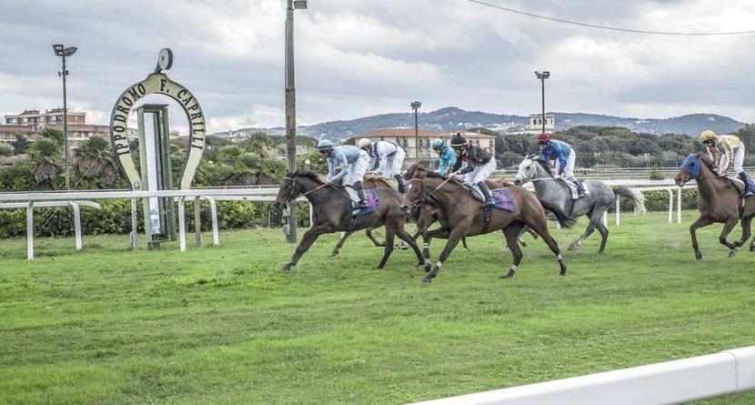 Ippodromo Caprilli, il gestore: "Critiche ingenerose, siamo gli unici a fare corse d'estate"