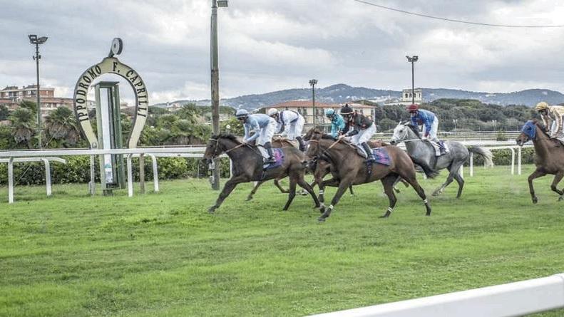 Ippodromo Caprilli, il gestore: "Critiche ingenerose, siamo gli unici a fare corse d'estate"