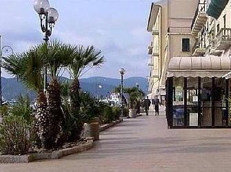 Nuovo look per il verde urbano 