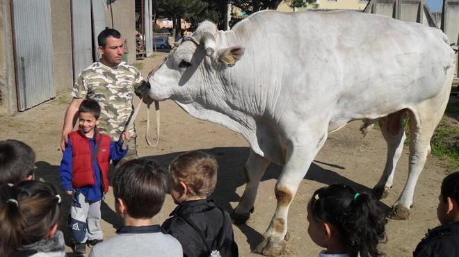 A lezione tra campi e animali 