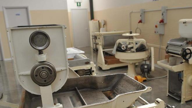 Il Quebec stregato dai tagliolini e dalle pappardelle che nascono nello storico pastificio Caponi