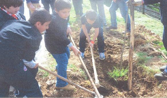 Torna sull’Amiata la festa dell’albero