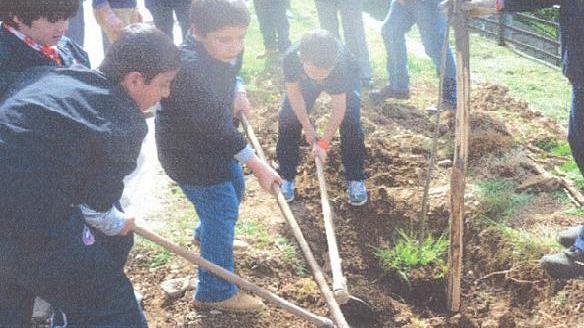 Torna sull’Amiata la festa dell’albero