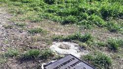Parco in abbandono e tombino scoperto a Margine Coperta
