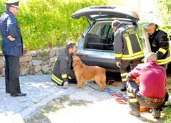 Muore all’Elba schiacciato tra il suo suv e un muretto 